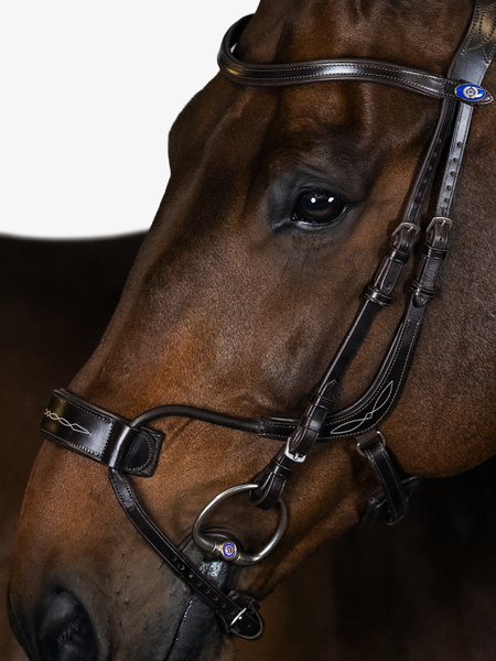 High Jump Bridle