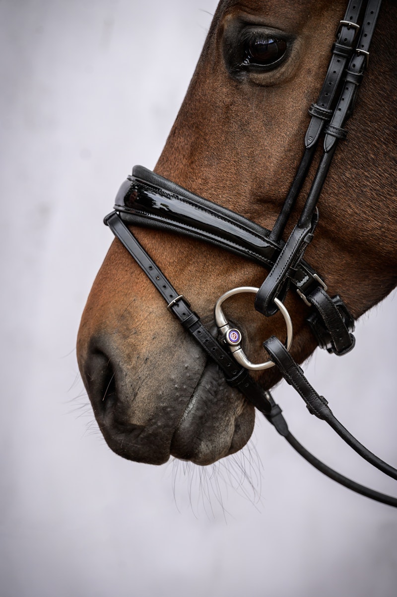 GP Lacquered Bridle - Black Padding GP Lacquered Bridle - Black Padding