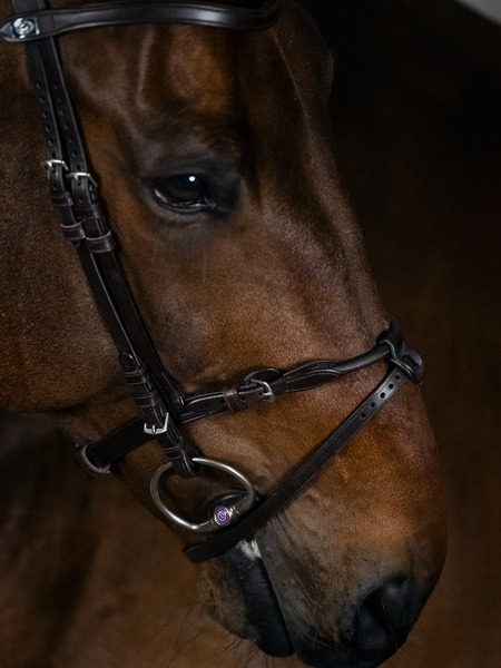 Mary Lou by Henrik von Eckermann