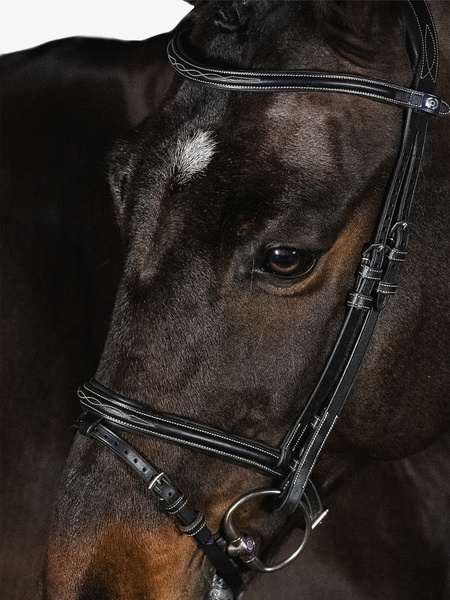 Stockholm Bridle