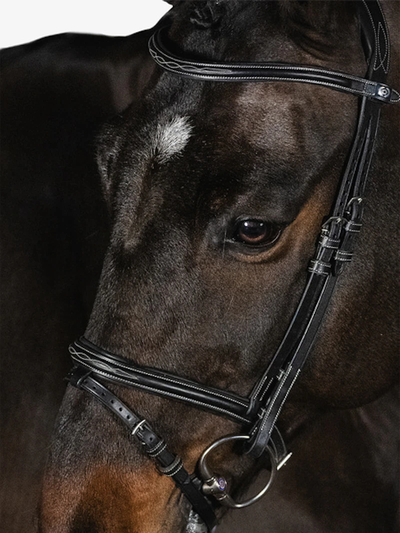 Stockholm Bridle Stockholm Bridle
