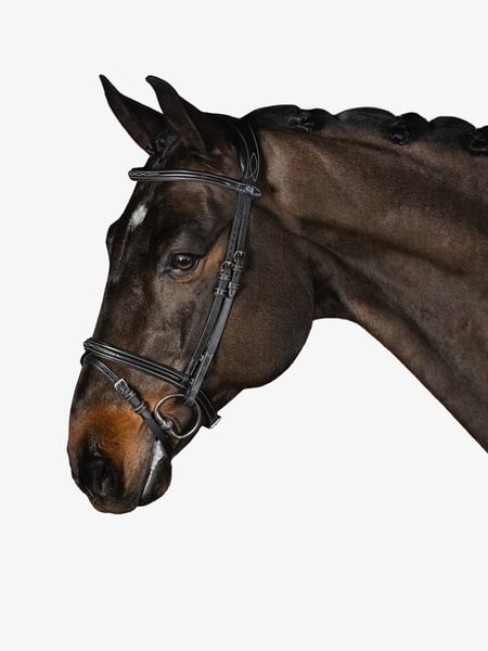 Stockholm Bridle