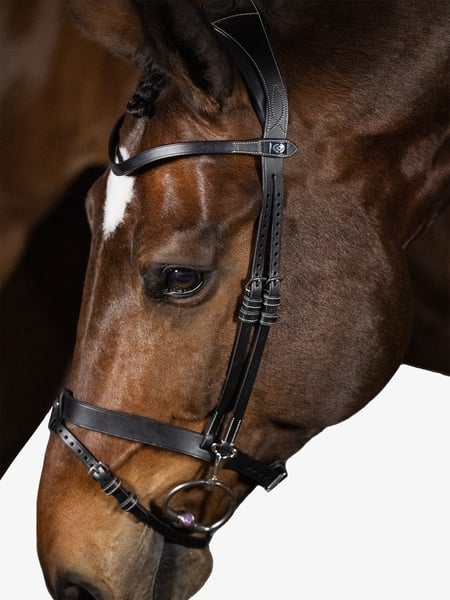 London Bridle