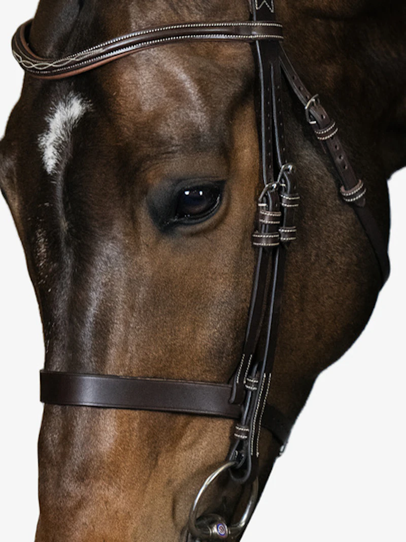 Wellington Bridle Wellington Bridle