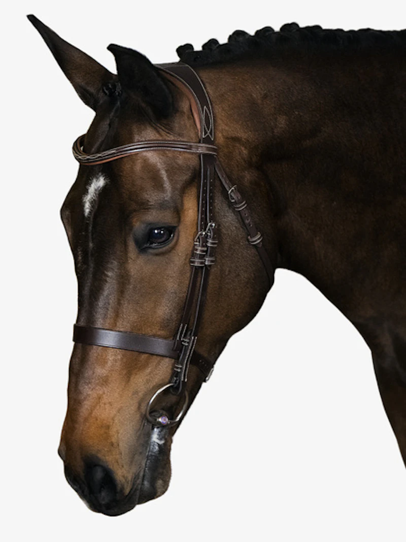 Wellington Bridle Wellington Bridle