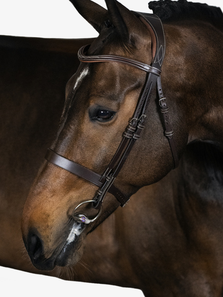 Wellington Bridle
