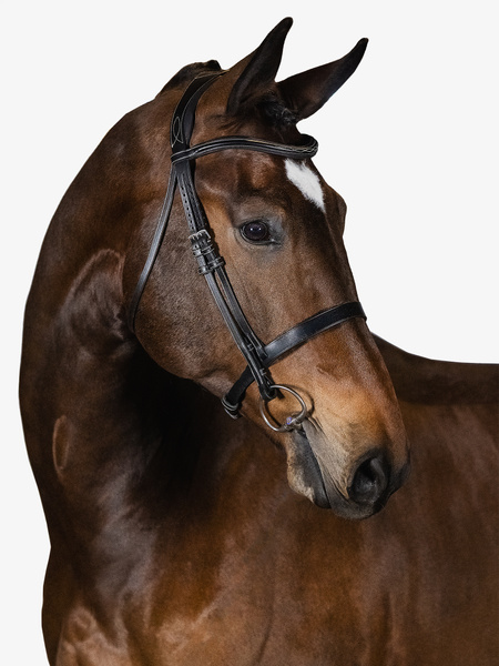 Wellington Bridle
