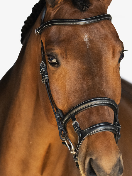 Paris Bridle