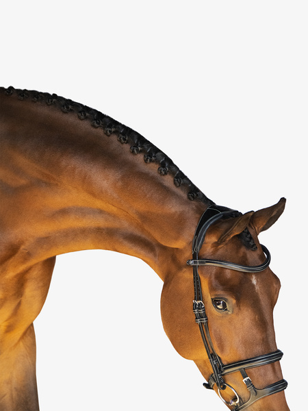 Paris Bridle