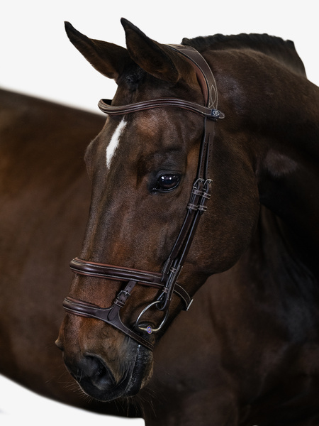 Paris Bridle