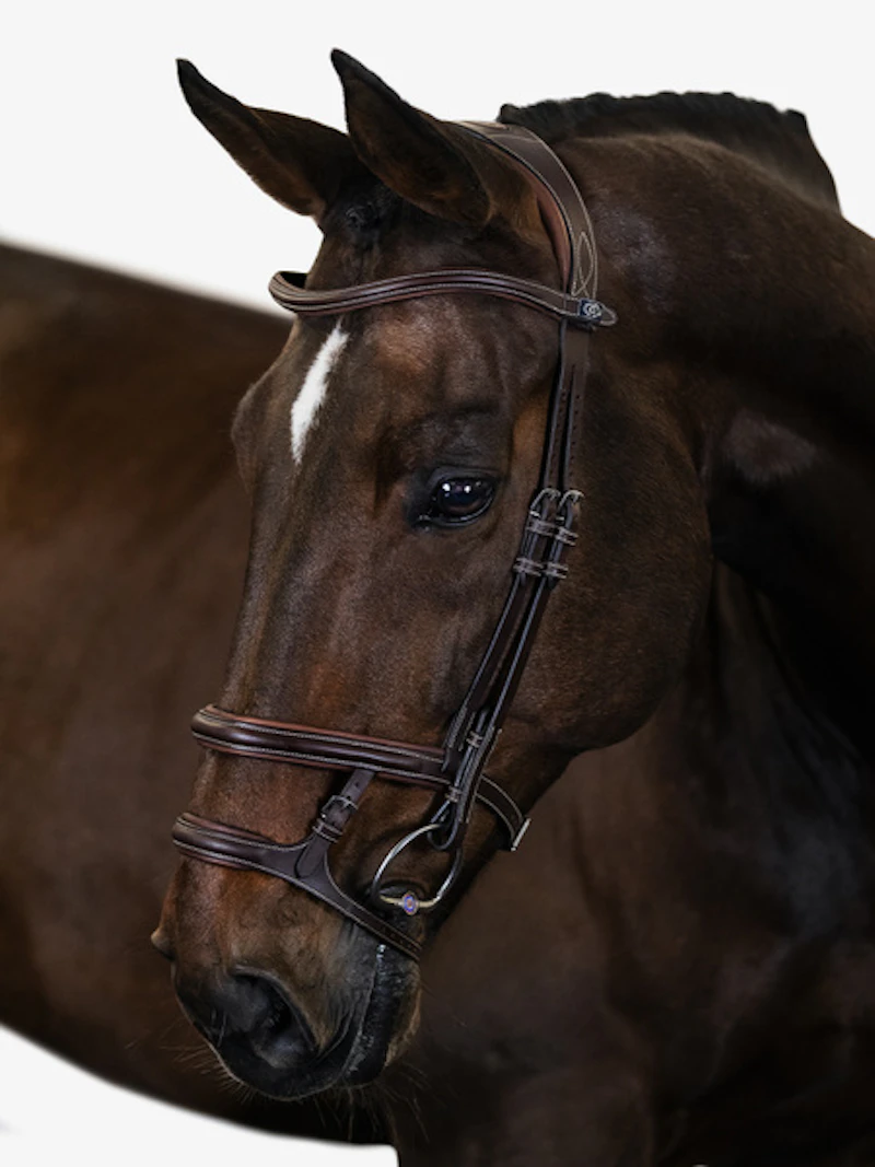 Paris Bridle Paris Bridle