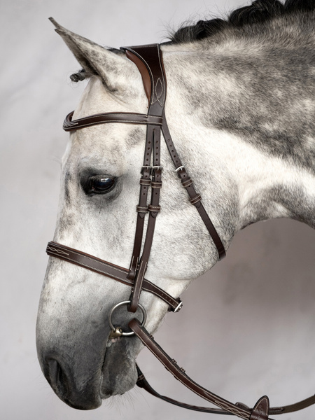 Ocala Bridle