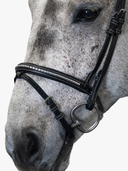Amsterdam Bridle