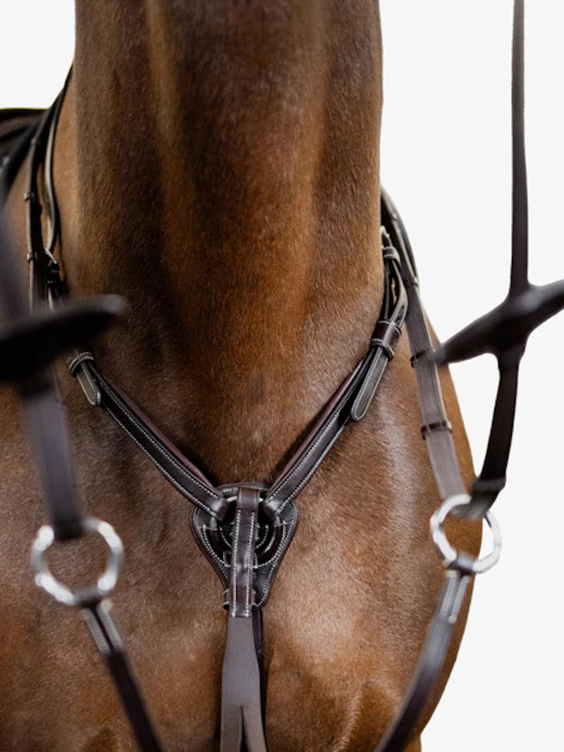 Martingale Seoul Martingale Seoul