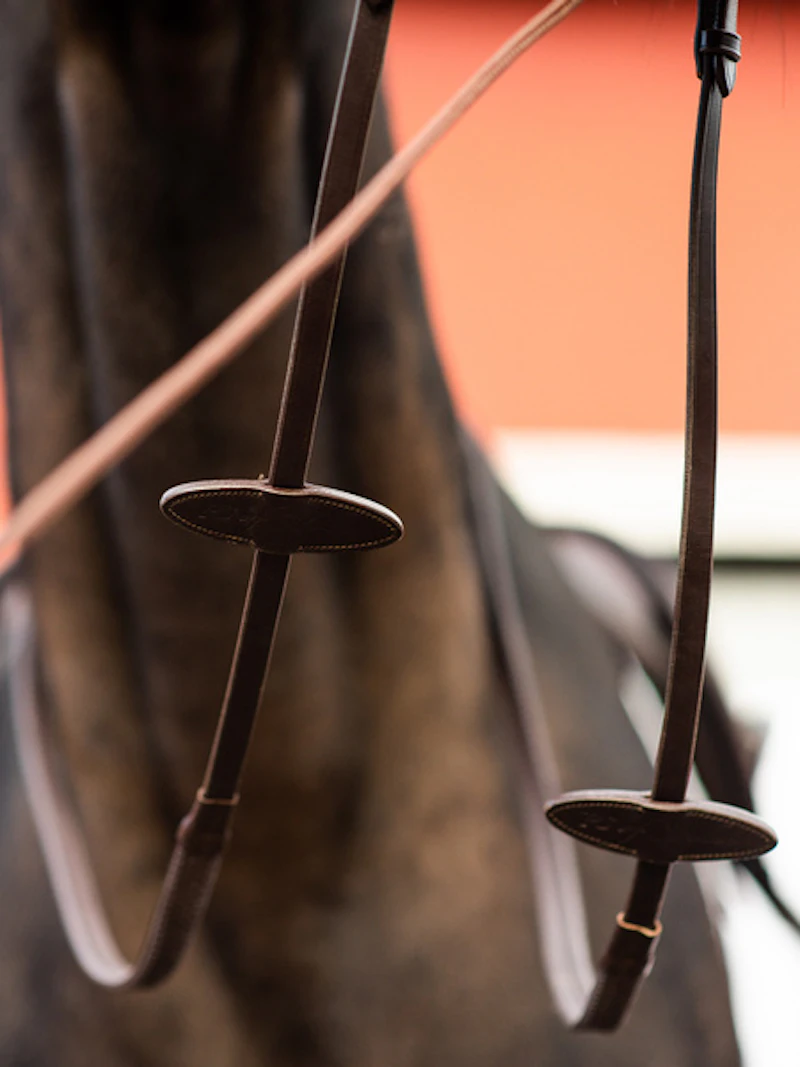 Reins Rubber Reins Rubber