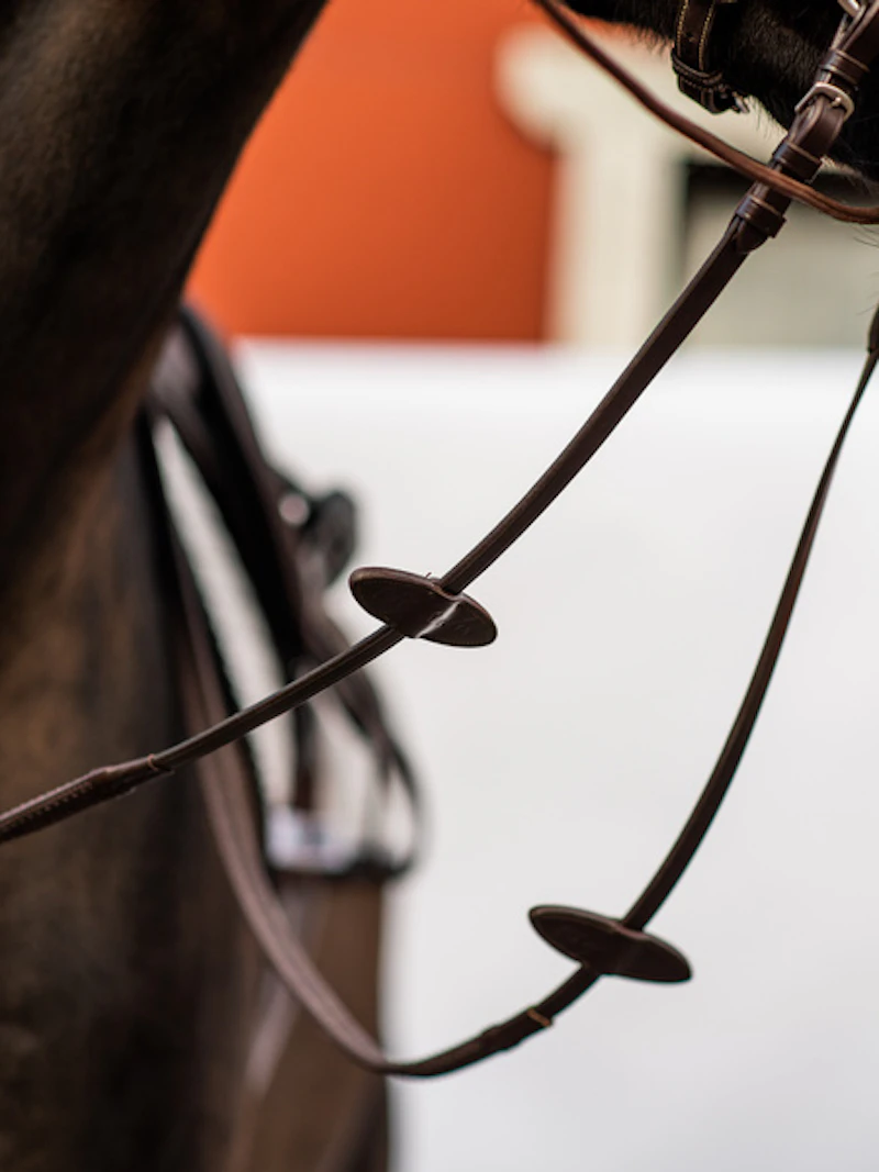 Reins Rubber Reins Rubber