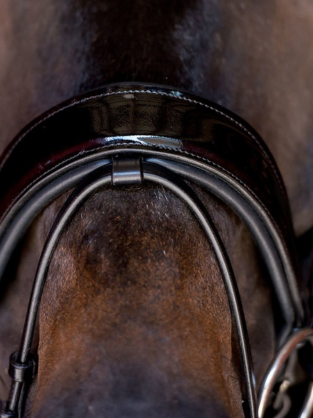 Flash Strap w/ Dark Buckle