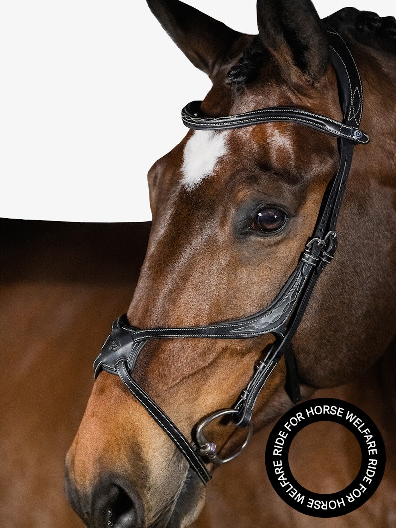 Athens Bridle Athens Bridle
