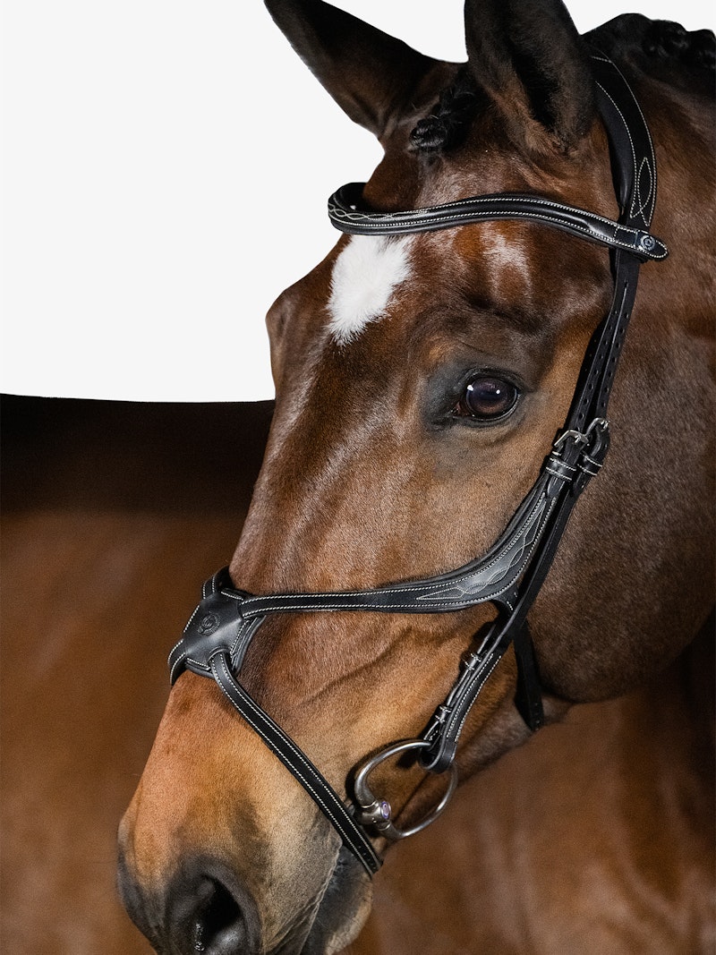 Athens Bridle Athens Bridle