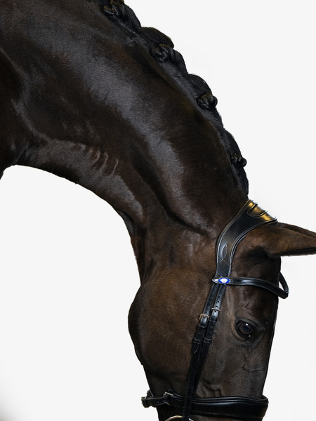 Bridle Flying Change