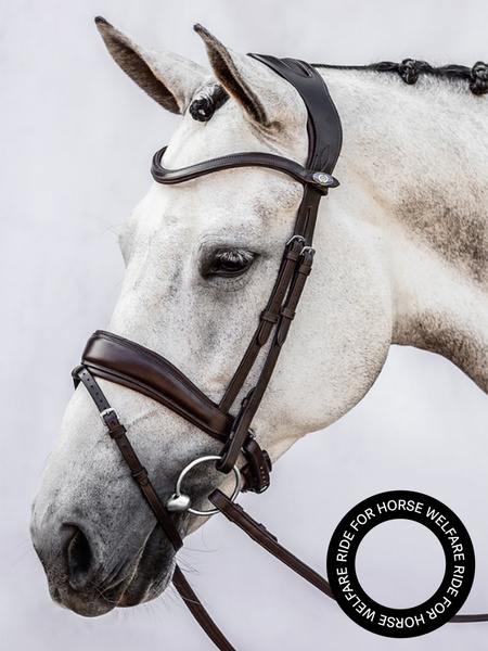 Bridle Flying Change