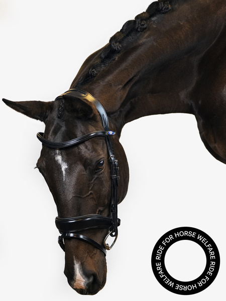 Bridle Flying Change