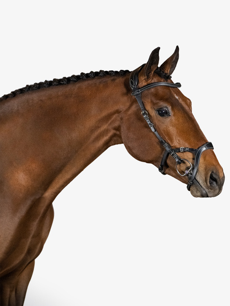 Nirak Bridle