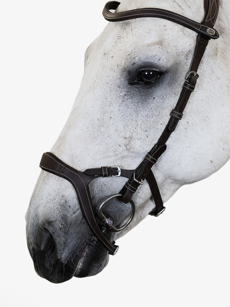 Nirak Bridle