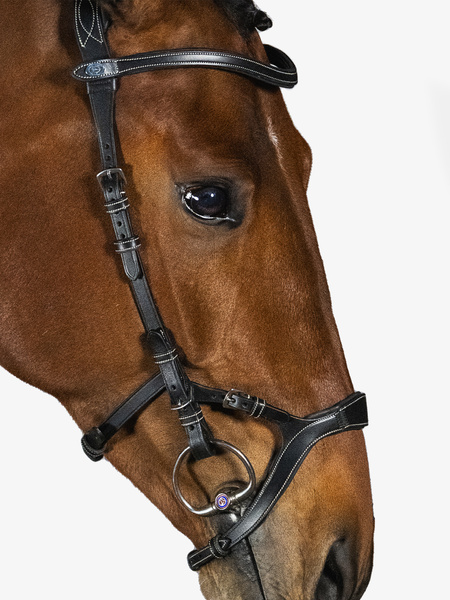 Nirak Bridle