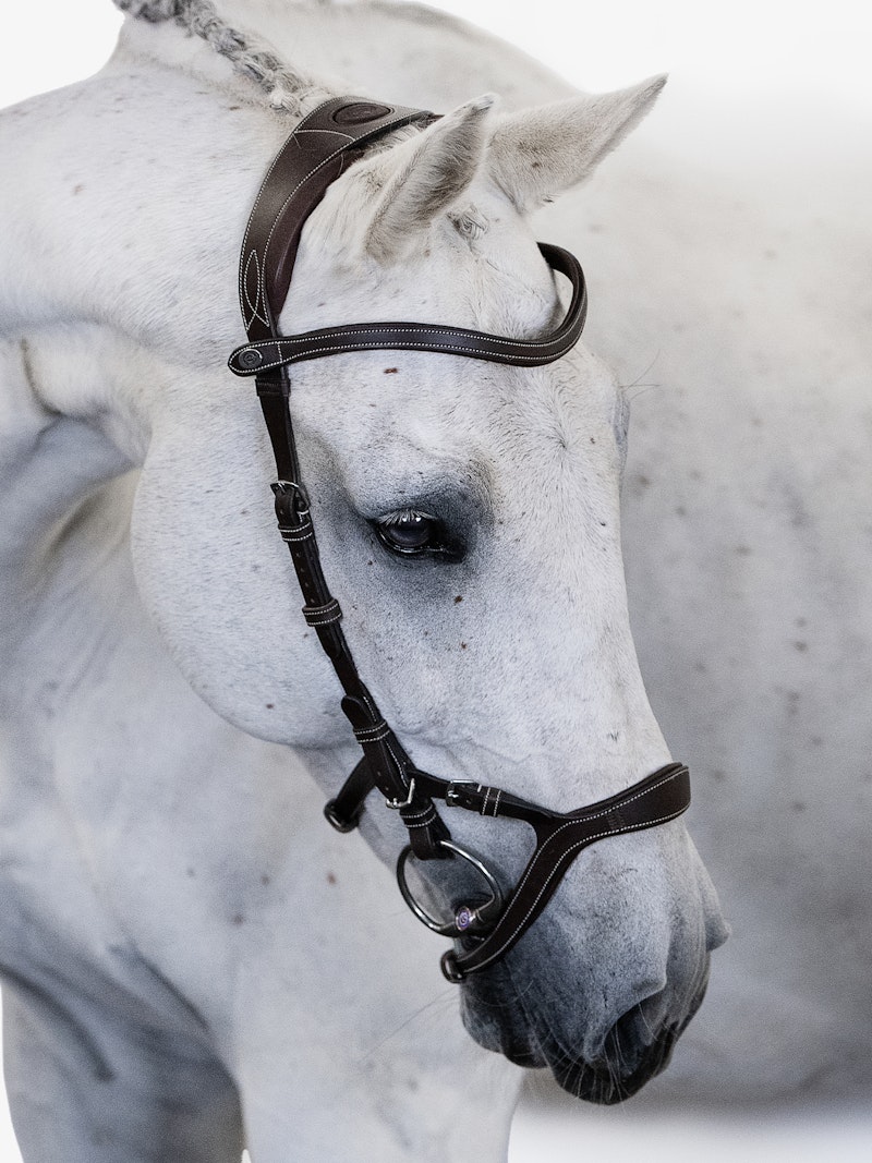 Nirak Bridle Nirak Bridle