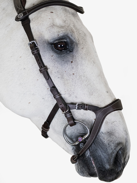 Nirak Bridle