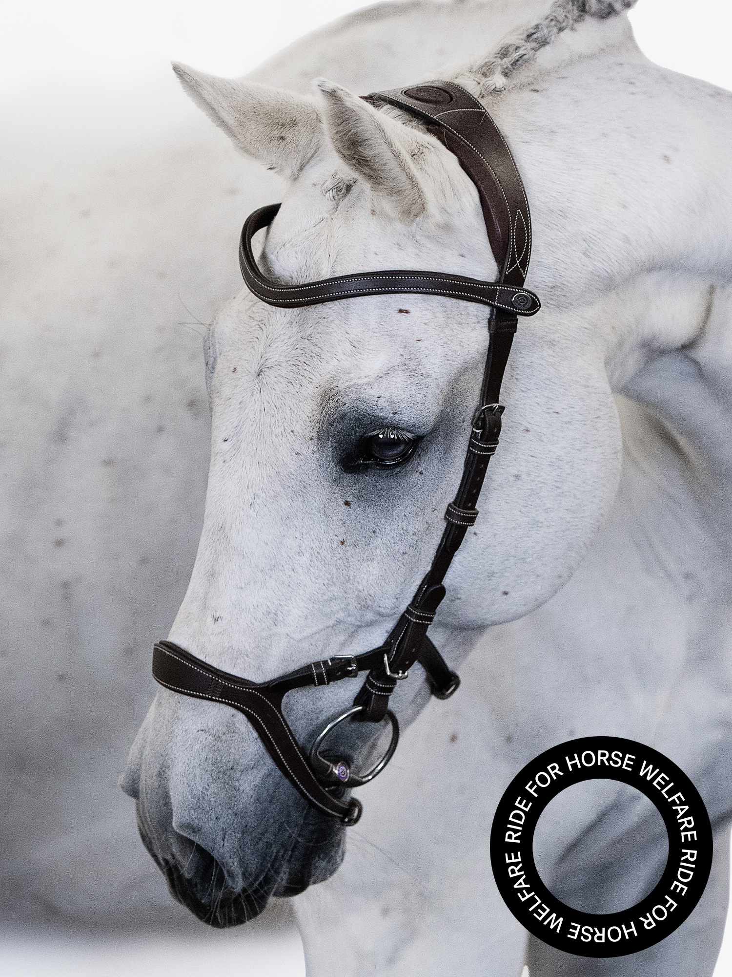 Nirak Bridle