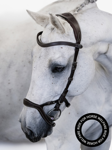Nirak Bridle