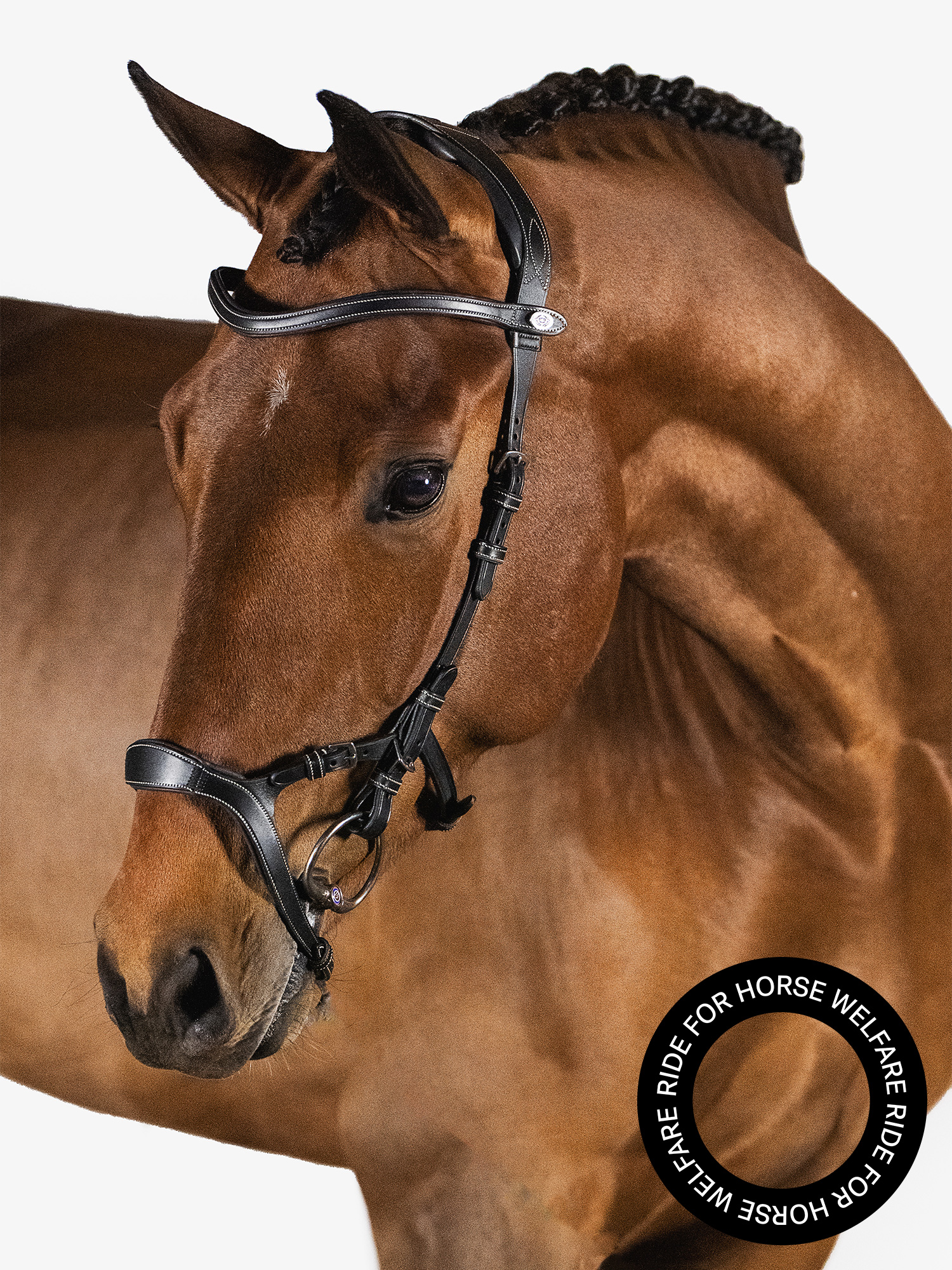 Nirak Bridle