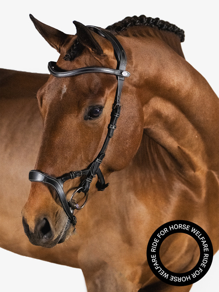 Nirak Bridle