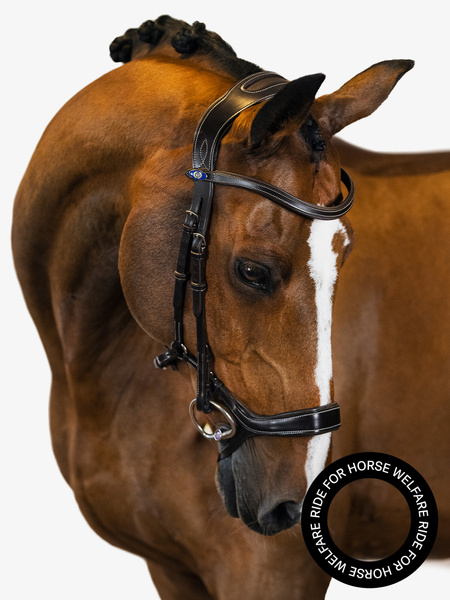 Bridle Pioneer