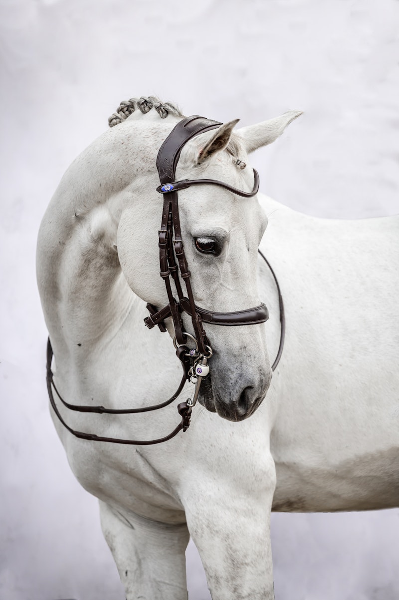 Double Bridle Paragon Double Bridle Paragon