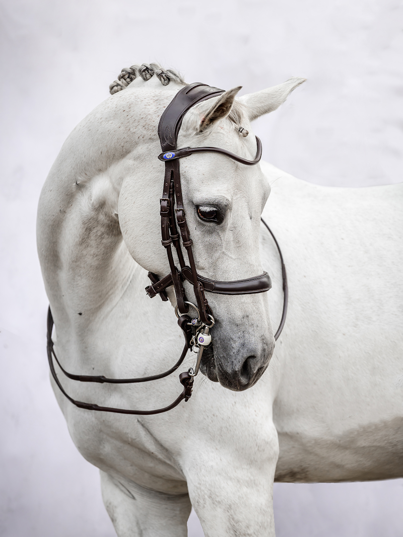 Paragon Kandare Paragon Kandare