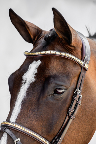 Browband Gold Clincher
