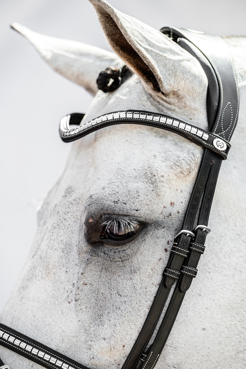 Browband Silver Clincher