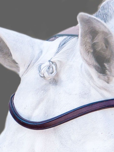 Browband U-Shape HvE