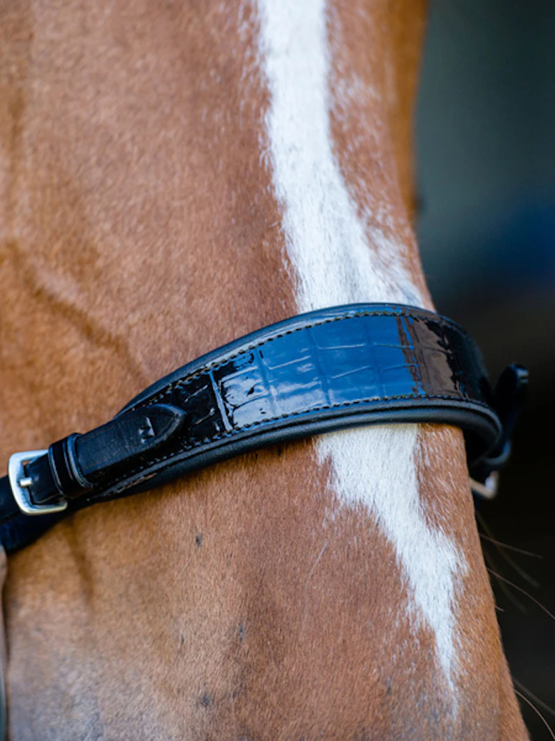 Noseplate Hackamore Lacquered Croco Noseplate Hackamore Lacquered Croco