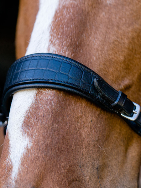 Noseplate Hackamore Matte Croco
