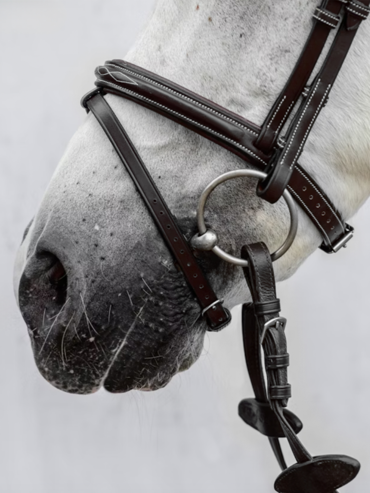 Noseband Fancy Stitching PRO