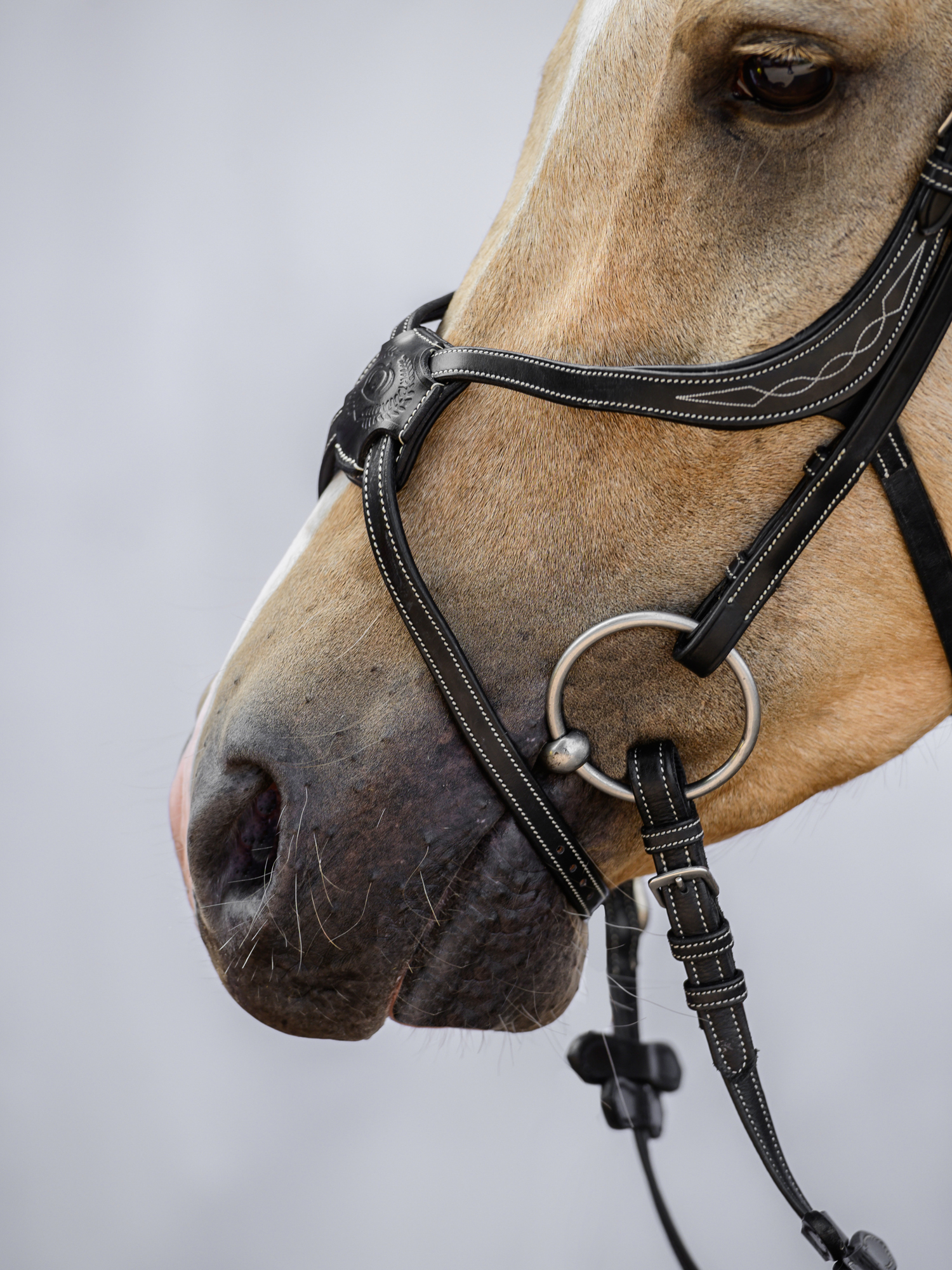 Noseband Mexican PRO