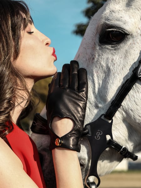 Bridle Hackamore Sport