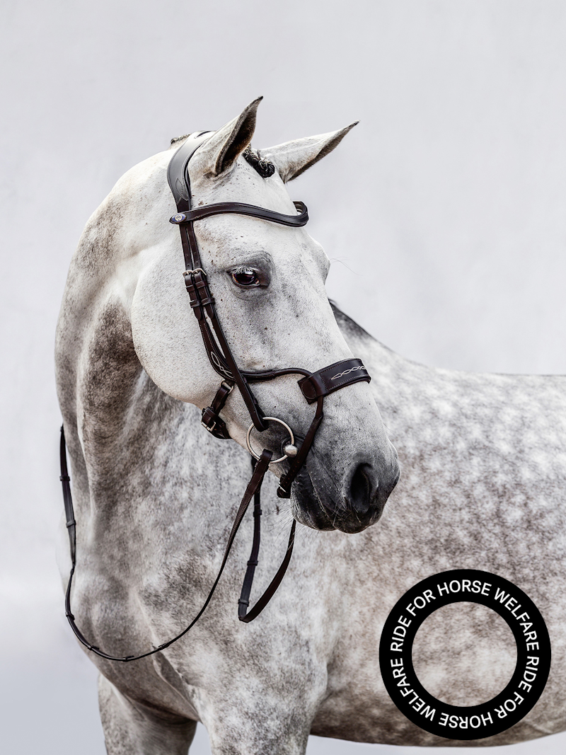 High Jump Träns High Jump Träns