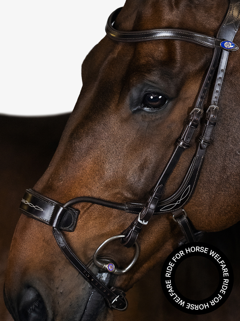 High Jump Träns High Jump Träns