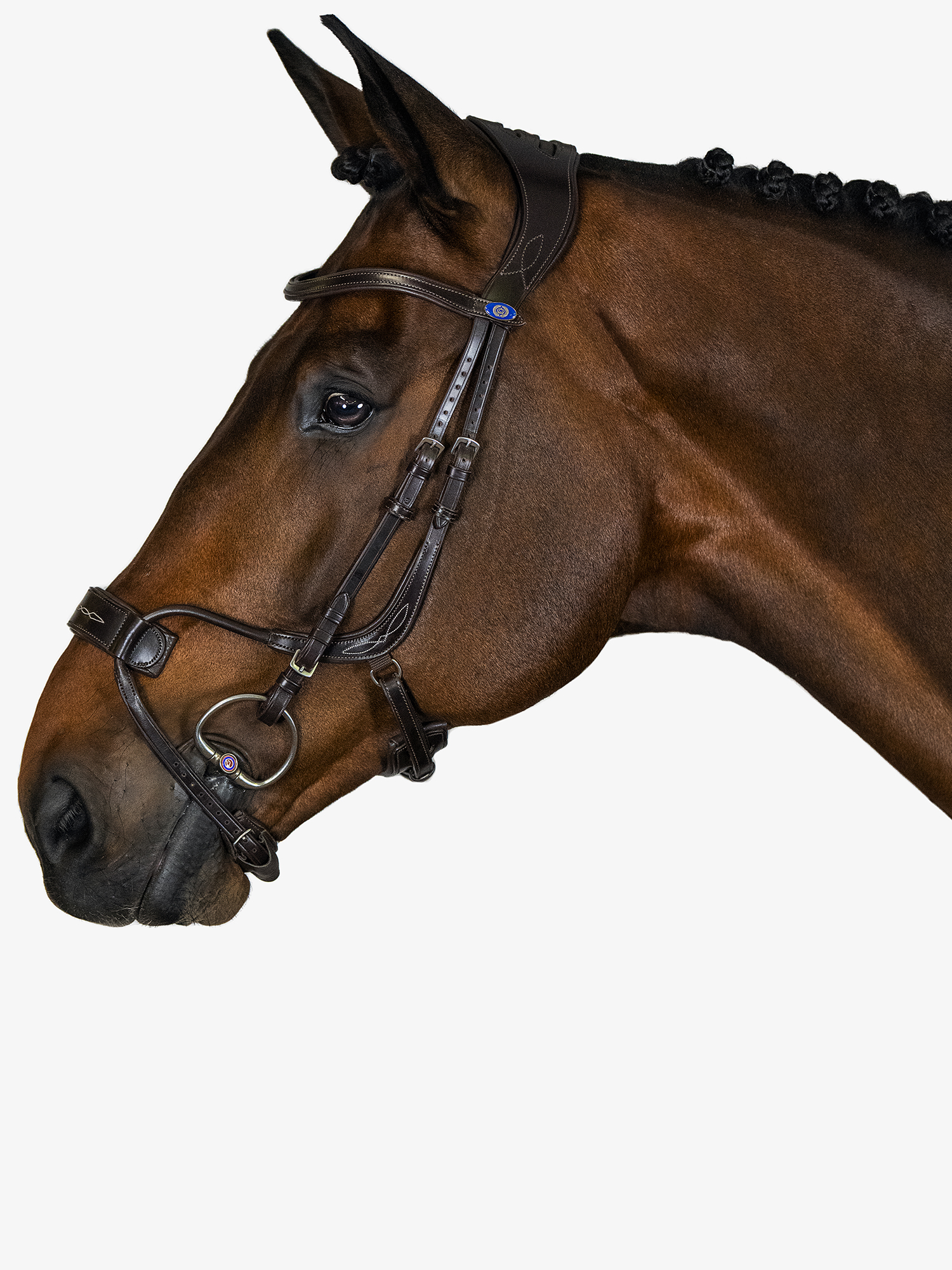 小物 FULL GRAIN BRIDLE / BYRNE 5 Leather Bridle w/White Stitching,