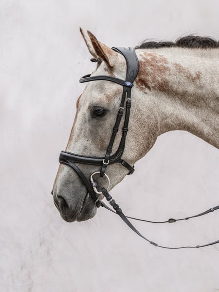 Bridle Jump Off
